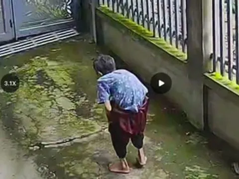 Hàng trăm người tìm kiếm cụ bà 89 tuổi ở Đồng Nai