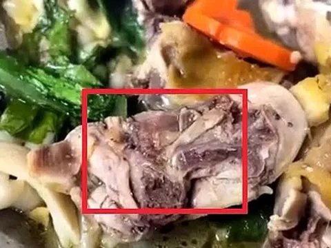 Phạt 27 triệu đồng cơ sở nấu ăn có giòi trong món gà