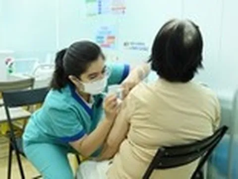 TP.HCM ghi nhận gần 1.000 ca sốt xuất huyết mới 1 tuần