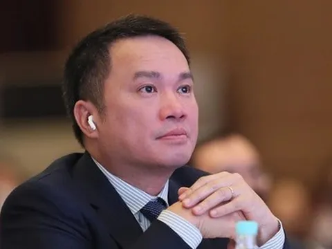 Con dâu sinh năm 1995 của tỉ phú Hồ Hùng Anh làm Chủ tịch một hãng hàng không