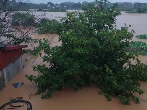 Dự báo thời tiết 5/8/2026: Miền Bắc lại đón mưa lớn "sầm sập", Hà Nội mưa rất to