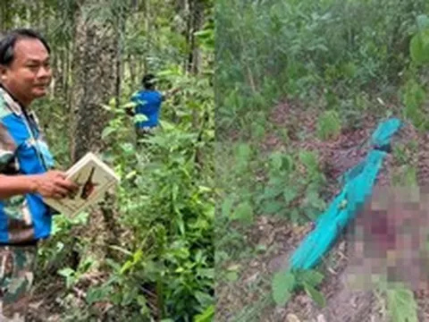 Một kiểm lâm nghi bị hổ tấn công trong khu bảo tồn động vật hoang dã ở Thái Lan, thi thể được tìm thấy cách khu nhà ở nhân viên khoảng 200m