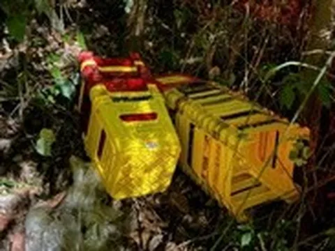 Làm việc 3 ca, xử lý người buôn bán trái phép trên núi Sơn Trà