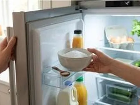 Nhiều gia đình đặt 1 bát muối vào tủ lạnh, hoá ra vì những lợi ích này
