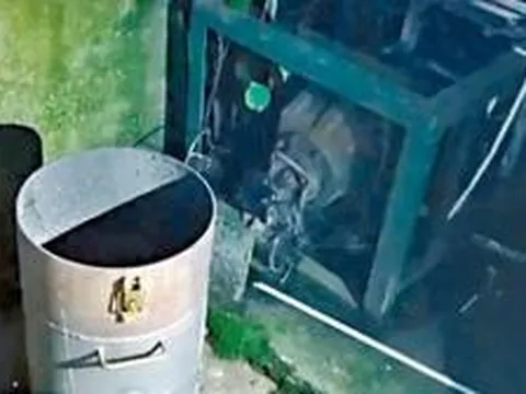 Đột kích căn hộ cho thuê bốc mùi hôi thối, cảnh sát phát hiện cảnh tượng lạ lùng