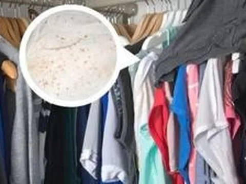 Thợ mộc lành nghề bật mí cách cứu tủ gỗ khỏi mùi hôi, mốc góc và phồng cánh mùa mưa: Không phải cứ lau là xong