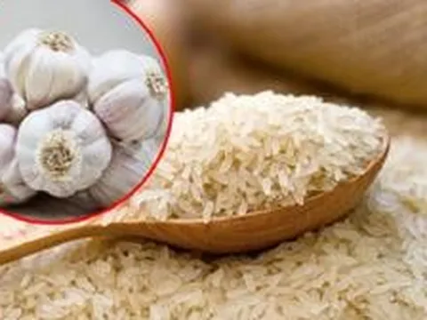 Nhiều người nhét tỏi vào thùng gạo hóa ra vì những lợi ích này