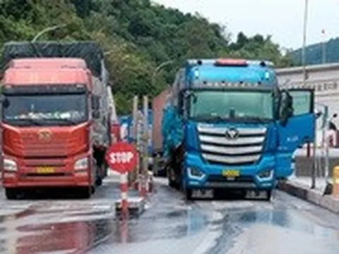 Hàng hóa phải kiểm định hải quan: Làm sao để ngăn chặn 1 lô hàng lấy mẫu 2 lần?
