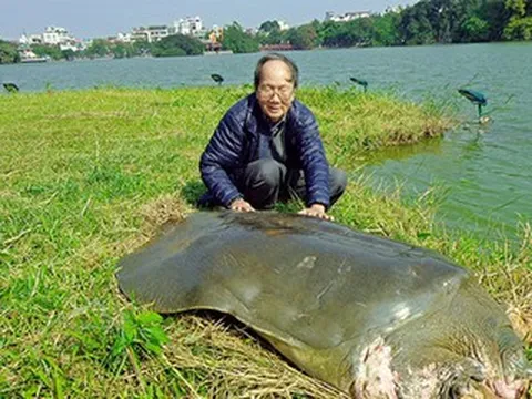 'Nhà rùa học' PGS.TS Hà Đình Đức qua đời