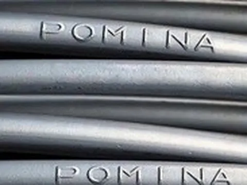 Doanh thu Pomina tăng mạnh nhưng vẫn lỗ tiếp quý thứ 17