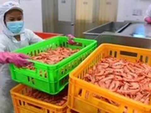 Doanh nghiệp Ba Lan đến Việt Nam tìm tôm để làm burger tôm