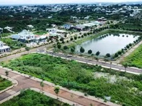 Thanh tra truy thu 15 tỉ đồng đặt cọc đấu giá đất tại Gia Lai
