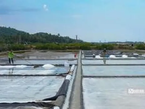 Giữ hồn làng muối 300 năm tuổi, mở lối sinh kế cho diêm dân