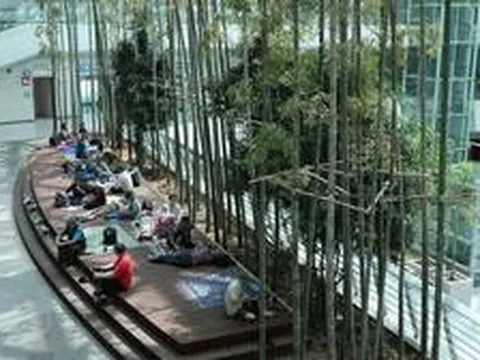 Cảnh tượng lạ ghi nhận tại sân bay Hàn Quốc trong đợt nắng nóng cực điểm