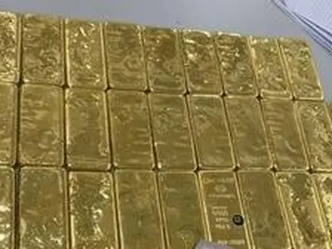 Tịch thu 46,4 kg vàng gồm nhiều thỏi vàng lớn nhỏ, trị giá hơn 14,7 tỷ đồng của một doanh nhân Trung Quốc