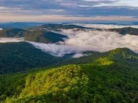 Không phải Sa Pa, Việt Nam có 1 nơi mát mẻ quanh năm, chỉ từ 18 độ C, được đánh giá là vương quốc của các loài lan