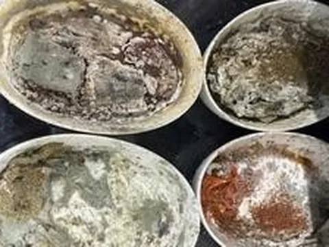 Công ty cung cấp suất ăn cho loạt hãng bay Mỹ bị nhân viên tố có giòi, gián xuất hiện; đồ mốc vẫn được rửa lại để tái sử dụng