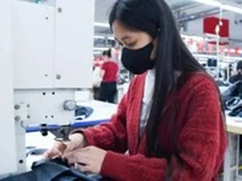 Từ 10-9, quấy rối tình dục tại nơi làm việc bị phạt tới 30 triệu