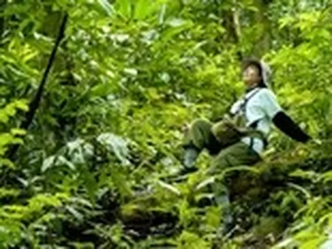 Băng rừng già Con Căng, tìm thác Ba Tầng và đại thụ chục người ôm không xuể