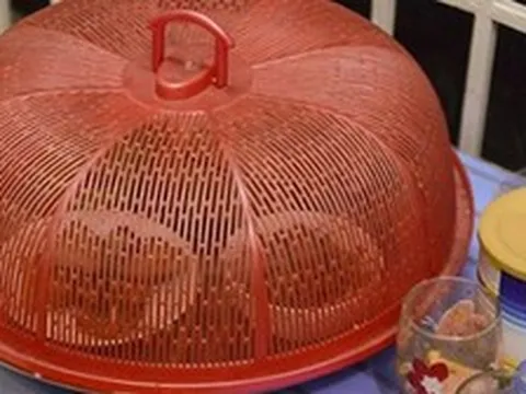 Vì sao ngày càng nhiều gia đình không còn dùng lồng bàn? Thì ra có 2 cách cất thức ăn khác hiệu quả hơn hẳn