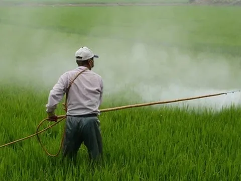 Tiếp xúc thuốc trừ sâu có thể ảnh hưởng thần kinh nhiều năm sau