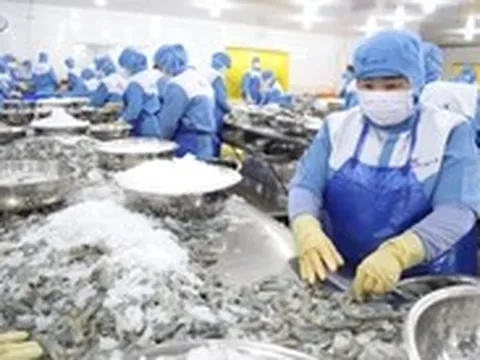 Cần Thơ cần gì để trở thành đầu tàu tạo sóng ‘di cư ngược’ về miền Tây?