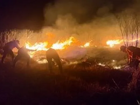 Cháy rừng nghiêm trọng tại Indonesia, khói mù bắt đầu lan ra khu vực