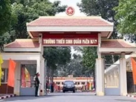 Một ngôi trường đặc biệt ở TP.HCM chỉ tiêu 240 nhưng 1.000 hồ sơ đăng ký