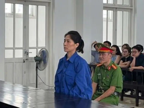 Xét xử nữ giám đốc tổ chức show 'Về đây bốn cánh chim trời'