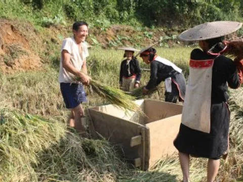 Gỡ nút thắt nguồn lao động vùng đồng bào dân tộc thiểu số và miền núi