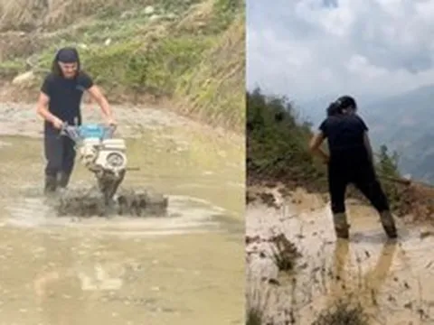 Xem khách Tây cuốc đất, đi bừa ở Tà Xùa, dân mạng đùa 'đi săn mây hay săn việc'