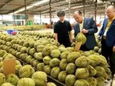EU sắp siết dư lượng nhiều thuốc bảo vệ thực vật, nông dân, doanh nghiệp xuất khẩu nông sản cần lưu ý gì?