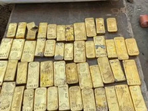 Đi làm thêm, một sinh viên 18 tuổi phát hiện loạt thỏi vàng và đồng xu trị giá 284 tỷ đồng