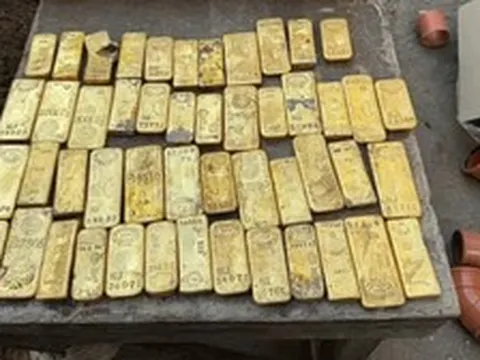 Thợ xây phát hiện kho báu 271 tỷ đồng giấu trong bức tường tầng hầm