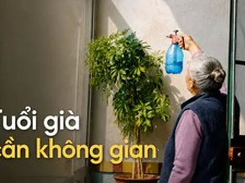 Người phụ nữ 63 tuổi bỏ nhà lớn để lên thành phố dưỡng già, 2 năm sau lại muốn quay về vì 5 điều không ngờ tới