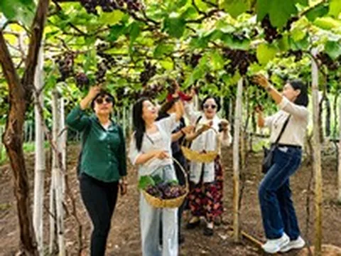 TP.HCM đẩy mạnh liên kết vùng, tìm sản phẩm mới cho du lịch
