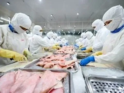 Cá tra Việt Nam gặp khó tại Mỹ vì 'thuế chồng thuế'?
