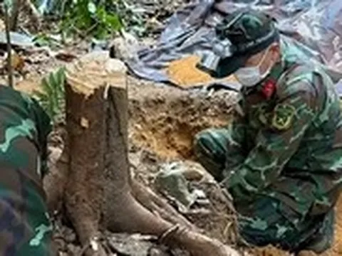 Tìm thấy hài cốt liệt sĩ từ thông tin của một người đi tìm mật ong rừng