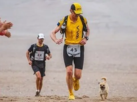 Chú chó hoang chạy 125 km xuyên sa mạc theo chân VĐV siêu marathon rồi đột ngột mất tích: Cái kết sau 9 năm gây bất ngờ