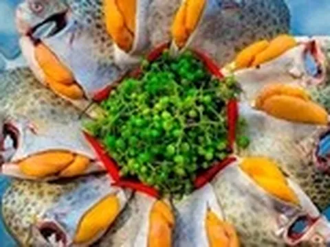 Con cá nâu xuất hiện ở vùng đất Cà Mau tự bao giờ mà thành đặc sản