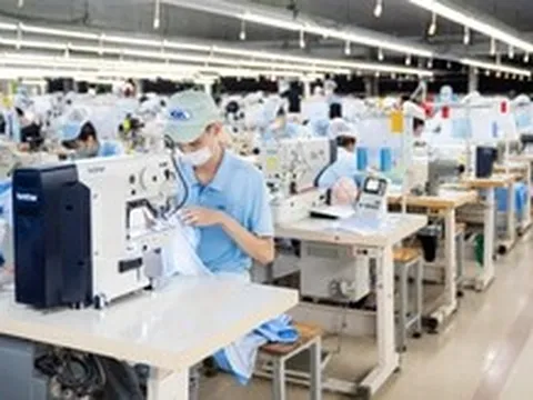 TP.HCM quá tải vì phải xử lý hàng ngàn hồ sơ cấp giấy chứng nhận xuất xứ từ tỉnh khác