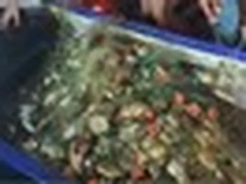 Đi bắt cá về ăn tối, người đàn ông kéo lên gần 200 kg thứ phủ kín thuyền: Chuyên gia chỉ ra điều đáng lo