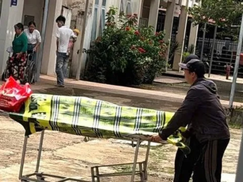 Người đàn ông tử vong khi trèo cây cắt sầu riêng thuê