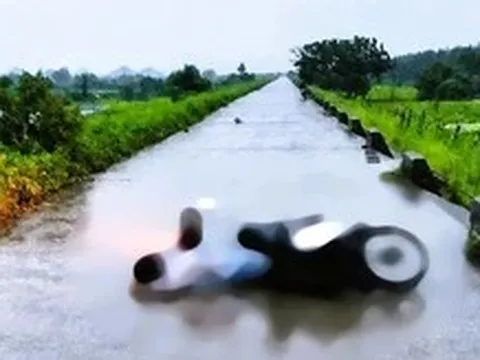 Sét đánh hai phụ nữ tử vong trên đường đi làm về