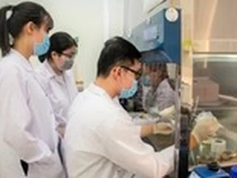 Trao việc xứng tầm cho người giỏi