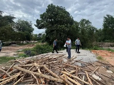 Thanh tra chỉ ra hàng loạt sai phạm, buông lỏng quản lý đất rừng ở Phú Quốc