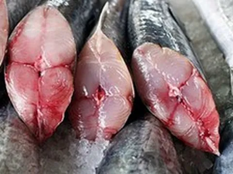 6 loại cá chứa lượng thủy ngân cao nhất