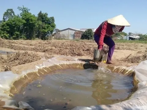 Đồng Tháp chủ động ứng phó hạn, mặn trước El Nino mạnh đến rất mạnh
