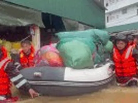 Mưa ngập tới bụng, hơn 800 tiểu thương chợ đầu mối hối hả cứu hàng