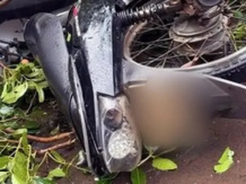 Nam thanh niên 18 tuổi lên Đắk Lắk học nghề bị cây ngã đè đã qua đời